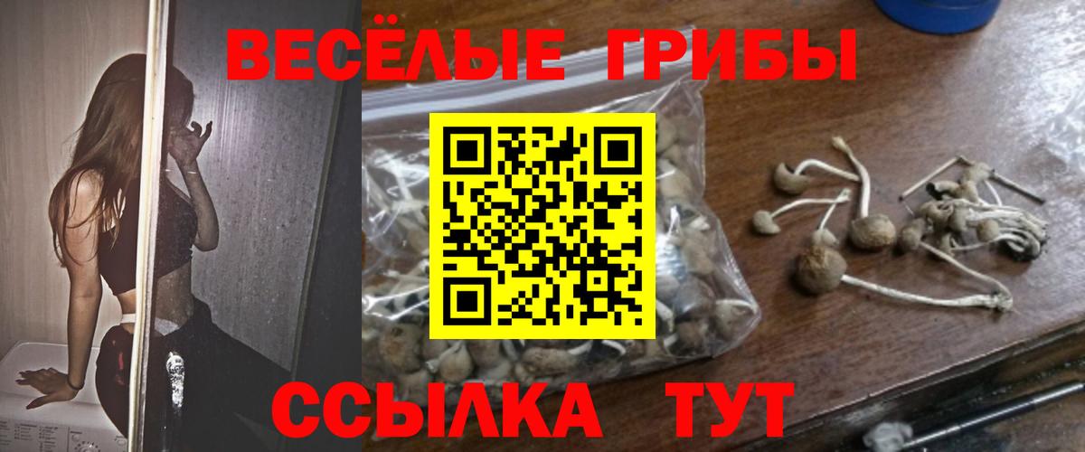 наркотики  Псилоцибиновые грибы мицелий  Вход с VPN  Алексеевка  Галлюциногенные грибы MAGIC MUSHROOMS 