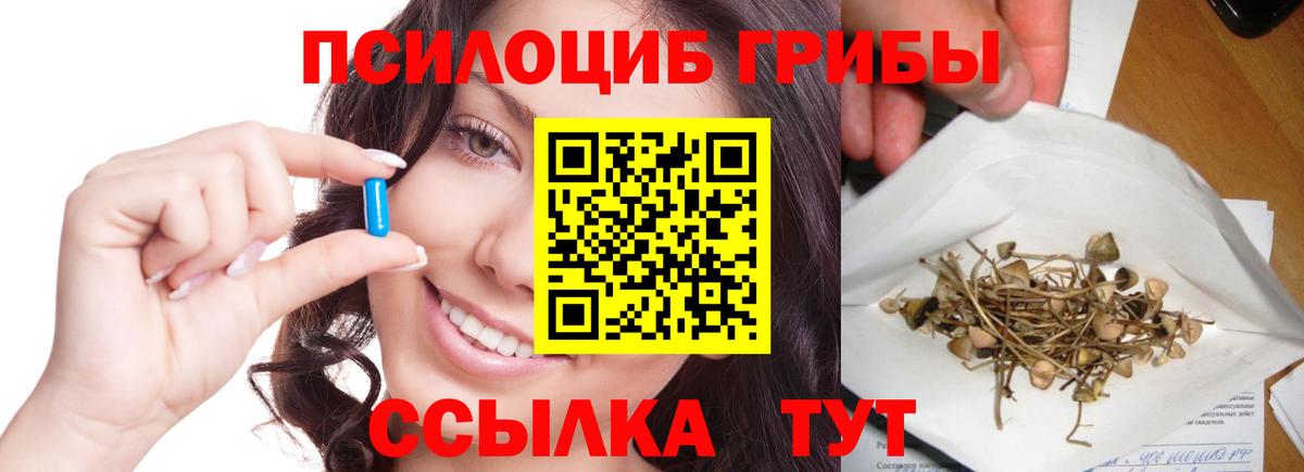Псилоцибиновые грибы Psilocybine cubensis Алексеевка